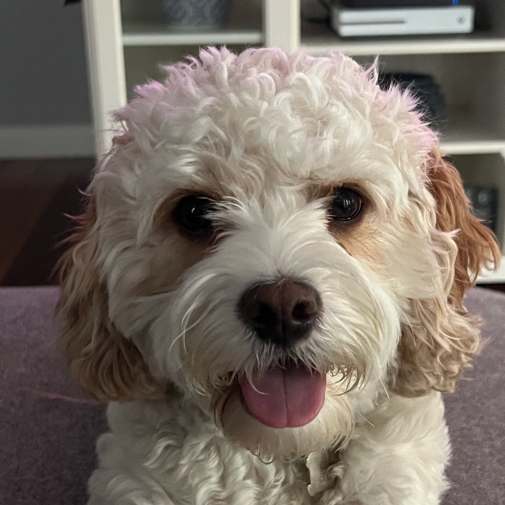 Meet your Posher, Maura